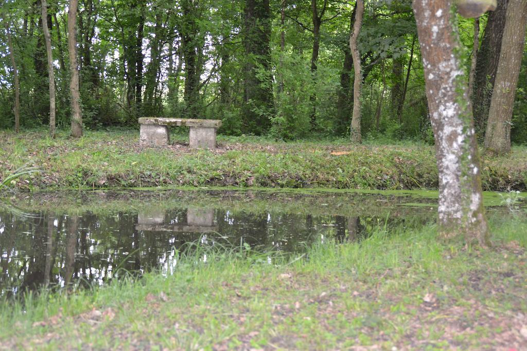 Gite de la Ronceraie Chaumont-sur-Loire Exterior foto