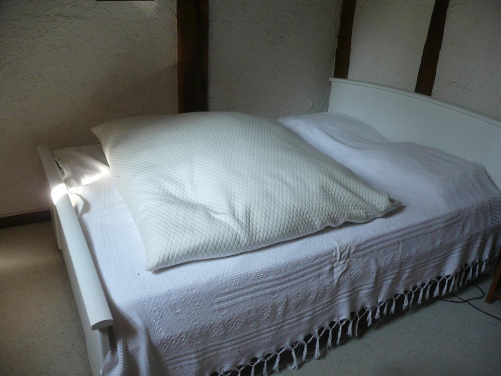 Gite de la Ronceraie Chaumont-sur-Loire Habitación foto